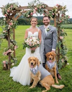 a bride and groom pose with their dogs in front of an arch decorated with flowers