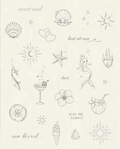 an old drawing of various items from the past, including seashells and starfish