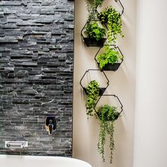 three planters are hanging on the wall next to a bathtub with a phone in it