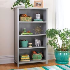 a grey bookcase with plants and books on it