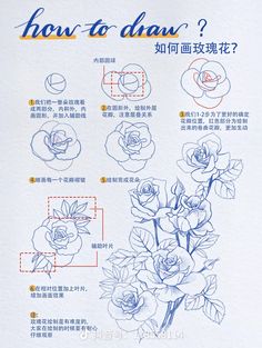 the instructions for how to draw roses are shown in english and chinese characters can be seen here