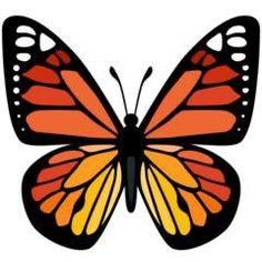 an orange and black butterfly on a white background