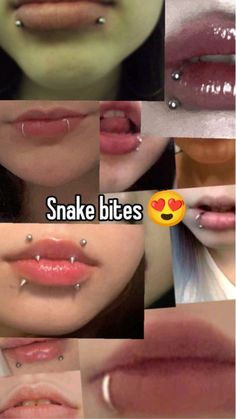 I NEED THEM SO BADLY Trad Makeup, Snake Eyes Tongue Piercing, Snake Bites Piercing, Snake Bite Piercing, Skunk Hair, Lip Piercings, Hello Kitty Wallpaper Hd, Snake Bite, Face Piercings