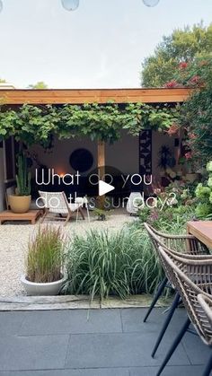 an outdoor patio area with chairs and plants