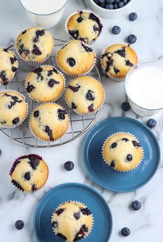 several blueberry muffins on plates next to some milk and fresh blueberries