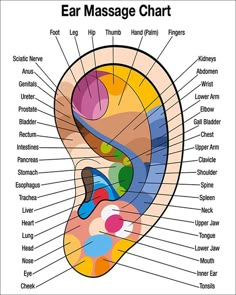 Foot Hand Ear Reflexology Charts 8 X 10 - Etsy Ear Reflexology, Ear Massage, Hand Reflexology, Diagram Chart, Foot Reflexology, Shiatsu Massage, Sciatic Nerve