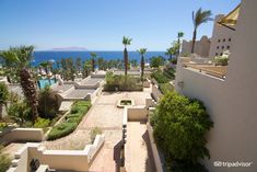 an aerial view of a resort with palm trees and the ocean in the background on a sunny day