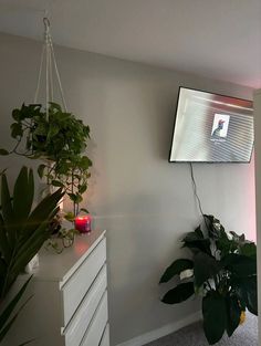 a flat screen tv mounted to the side of a wall next to a potted plant