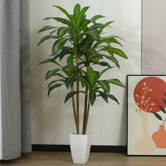 a potted plant sitting next to a painting on the wall in front of a window