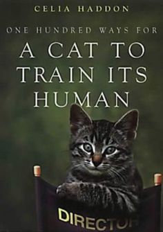 a cat sitting on top of a purple chair with the caption'a cat to train its human '