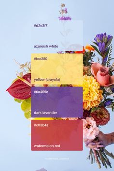 2024 Organic spring flower color palette inspiration | Branding design Cool Tone Colour Palette, Innovation Color Palette, Flower Color Palette, Watercolor Food Illustration, Color Theory Art