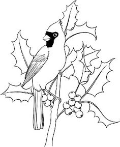 a bird sitting on top of a tree branch with berries and holly leaves around it