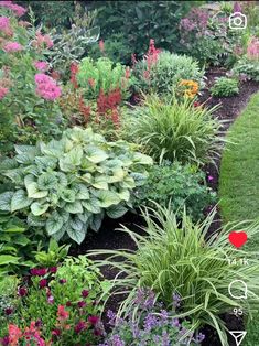 a garden filled with lots of different types of flowers