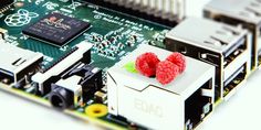 raspberrys are placed on top of the motherboard