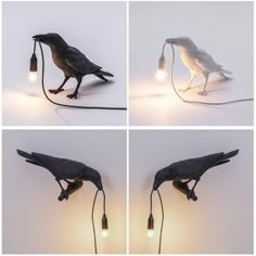 four different angles of a bird lamp with one light turned on and the other turned off