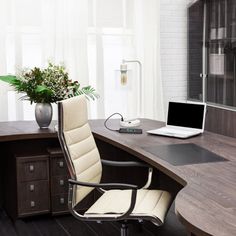 an office desk with a laptop on it and a flower pot in the corner next to it