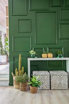 a room with green walls and plants on the floor, along with two stools