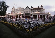 a large building with many flowers in front of it