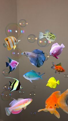 a group of fish floating in the air with bubbles around them and on top of each other