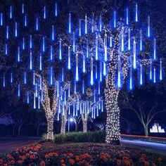 an illuminated tree in the middle of a park at night with blue lights on it