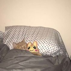 a cat laying on top of a bed next to a stuffed animal toy and pillow