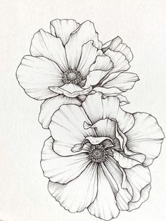 three flowers are shown in black and white ink on paper, one is drawn by hand