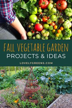 a garden filled with lots of different types of vegetables