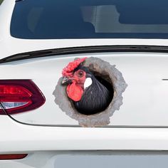 a chicken sticking its head out of a hole in the back of a car