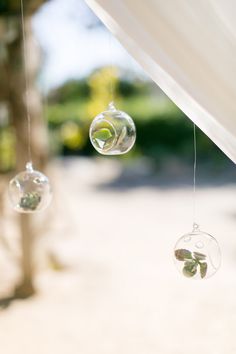 three clear glass ornaments hanging from a white curtain in front of some trees and bushes