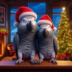 two parrots wearing santa hats sitting on a table in front of a christmas tree