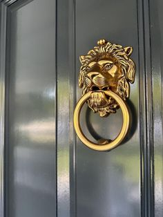 a door handle with a lion's head on it and a ring in the middle