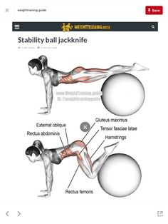 an image of a website page showing the different muscles and their corresponding functions, with text below