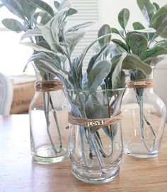 three glass vases with plants in them on a table