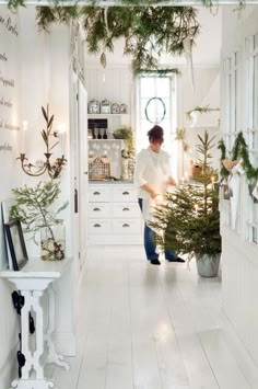 a woman standing in a kitchen next to a christmas tree and potted plant on the counter