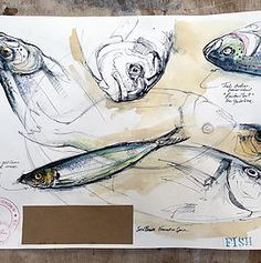 some drawings of fish on top of a piece of paper