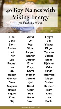 an image of a boy names with viking energy