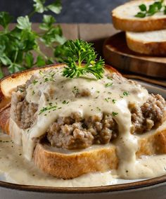 a close up of a plate of food with meat and gravy on bread