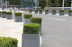 there are many planters in the middle of this street that is lined with bushes