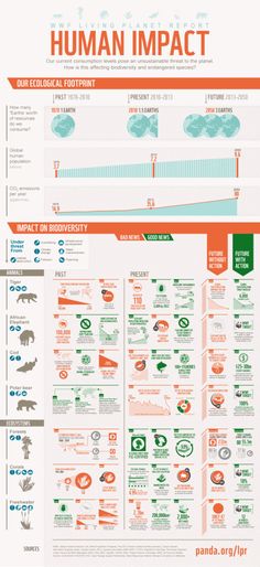 the human impact poster is shown in orange and green colors, with information about how to use