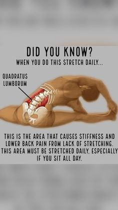 a diagram showing how to stretch out and do exercises for the lower limb muscles, including an