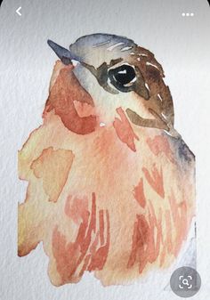 a watercolor painting of a bird with orange and brown feathers on it's head