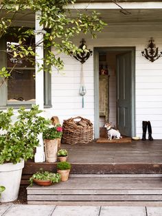 a dog sitting on the front porch of a house with potted plants and baskets