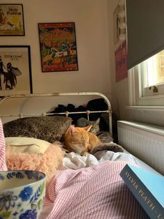 an orange cat laying on top of a bed next to a cup and book near a window