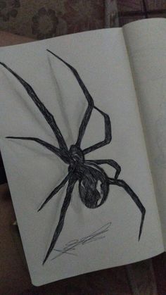 an open book with a drawing of a spider on it