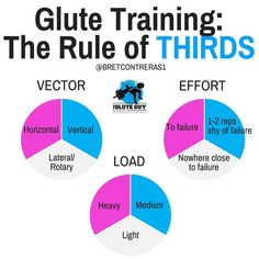 a diagram showing the rules of training for dogs and their owners in different stages of development