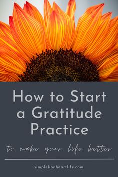 a sunflower with the words how to start a grateful practice to make your life better