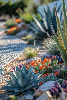 Budget-Friendly Desert Landscaping Ideas Desert Gardens Arizona, Ideas Pergolas Jardin, Dessert Landscape Ideas, Zero Scaping Ideas, Arizona Garden Ideas, Arizona Landscaping Ideas Backyard, Western Landscaping Ideas, Desert Pool Landscaping, Front Yard Desert Landscaping Ideas