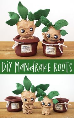 two clay pots with plants in them and the words, diy mandrake roots