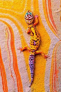 a gecko is laying on the ground