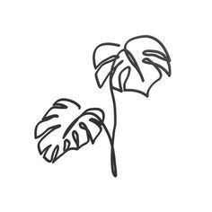 a line drawing of two leaves